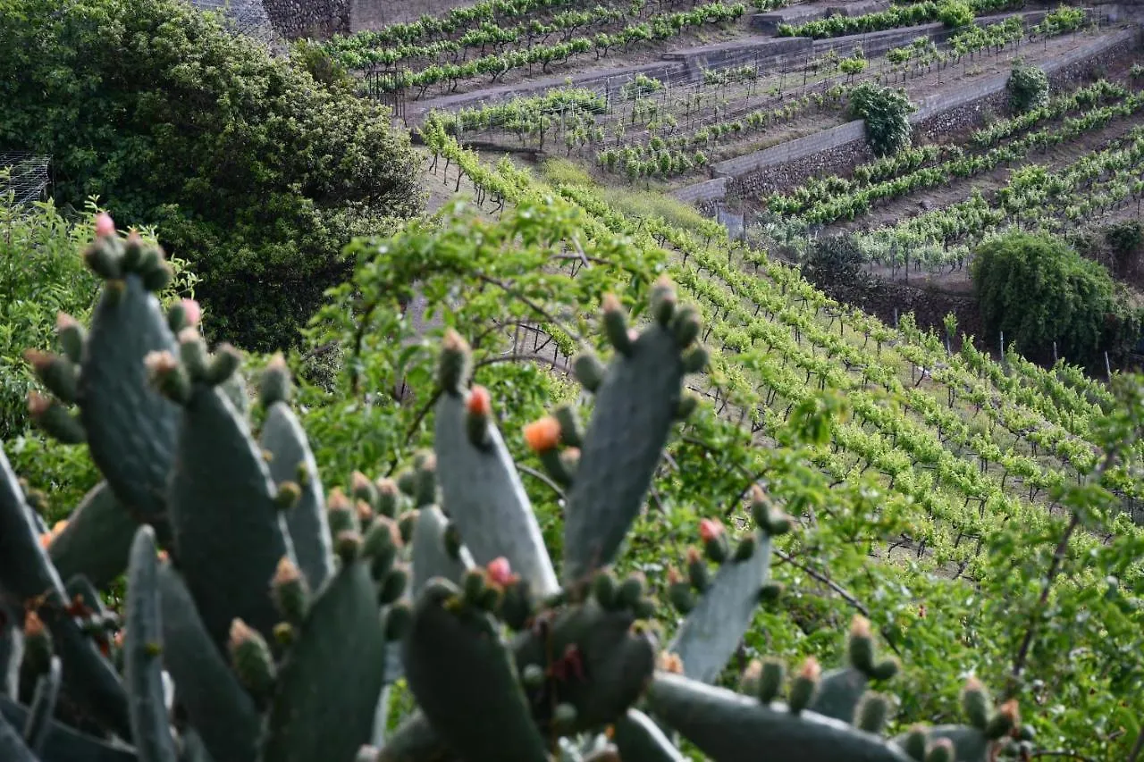 Haciendas Del Valle - Casa San Miguel Valle de Guerra Landhaus